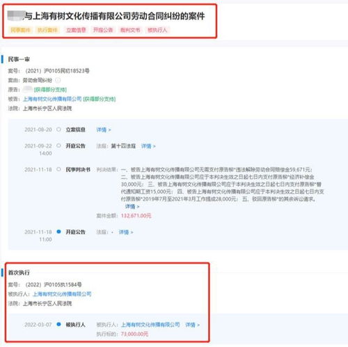 韩寒公司因劳动纠纷被强制执行7.3万元，出版物零售业务面临挑战